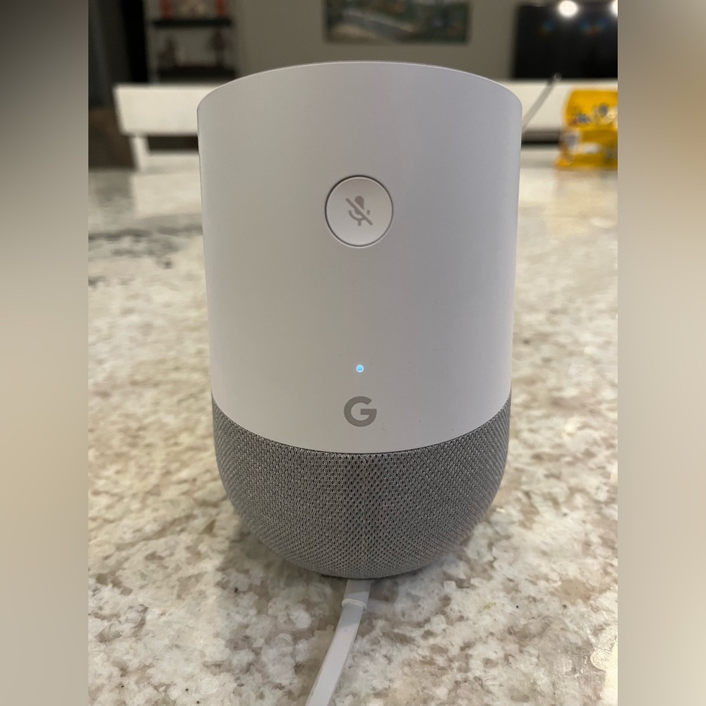 Google Home Voice Assistant in White and Gray